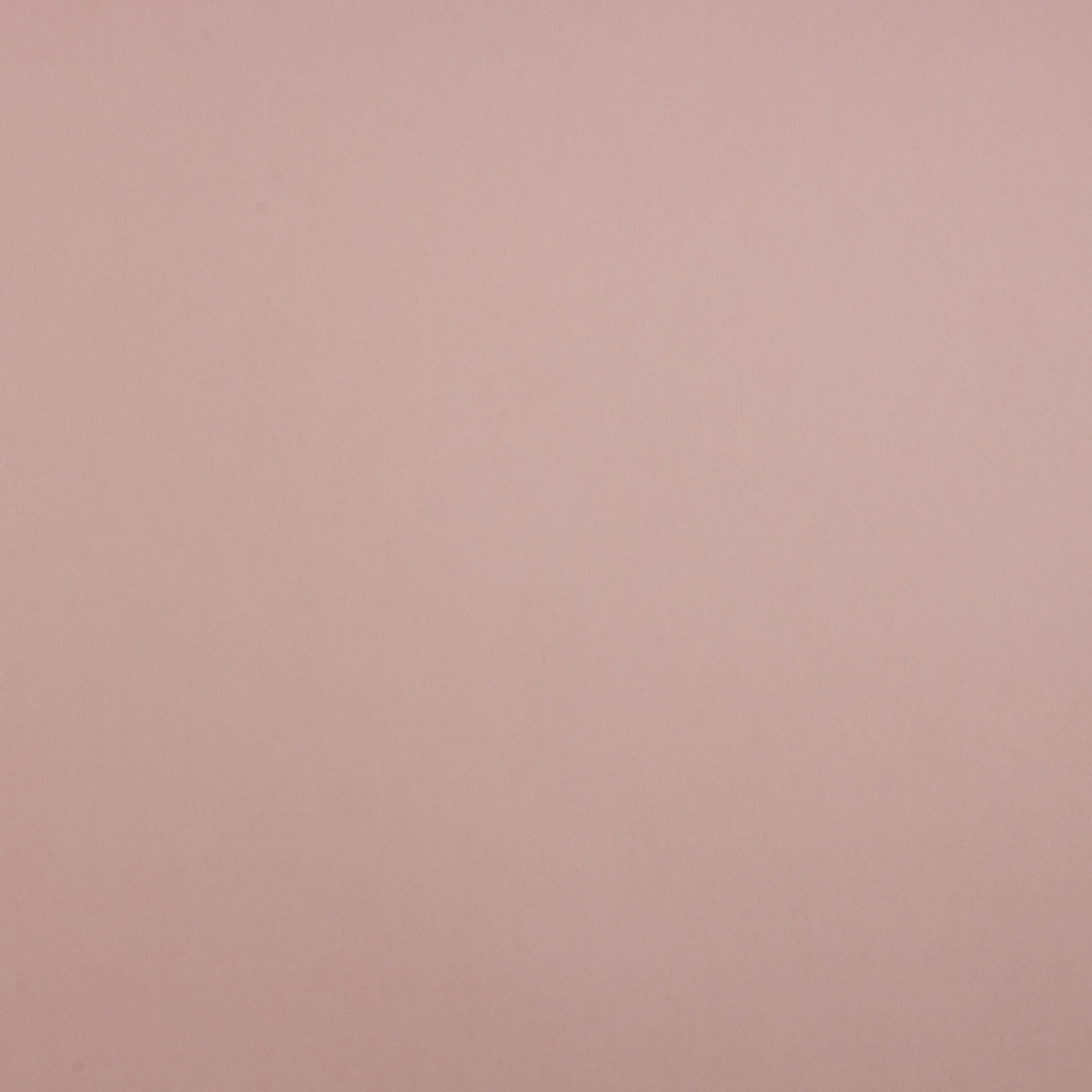 Dusty Rose Color Wallpaper - carrotapp